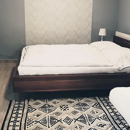 Zsalya Vendeghaz * Demjen